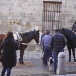Bendición de los animales cpn motivo de San Antón Abad, en la iglesia de San Miguel