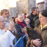 Bendición de los animales cpn motivo de San Antón Abad, en la iglesia de San Miguel