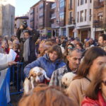 Bendición de los animales cpn motivo de San Antón Abad, en la iglesia de San Miguel