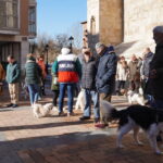 Bendición de los animales cpn motivo de San Antón Abad, en la iglesia de San Miguel
