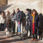 Bendición de los animales cpn motivo de San Antón Abad, en la iglesia de San Miguel
