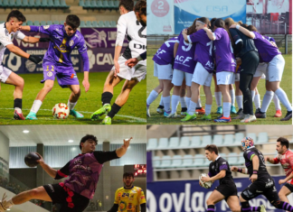 CD Palencia Cristo Atlético, Palencia Fútbol Femenino, Balopal y Palencia Rugby Club