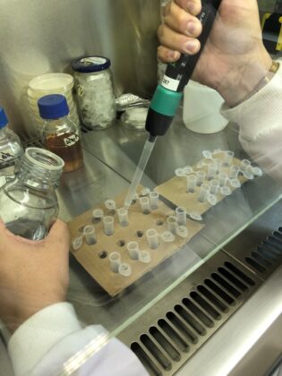 Investigaci&oacute;n de la Junta desvela las propiedades del l&uacute;pulo en las resinas