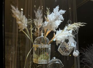 FLORISTERÍA PÉTALOS