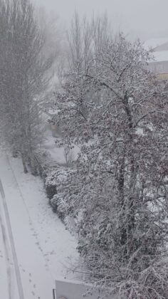 Nevada en Guardo el 20 de enero de 2025