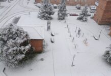 Nevada en Guardo el 20 de enero de 2025. Fotografía cedida por Julita