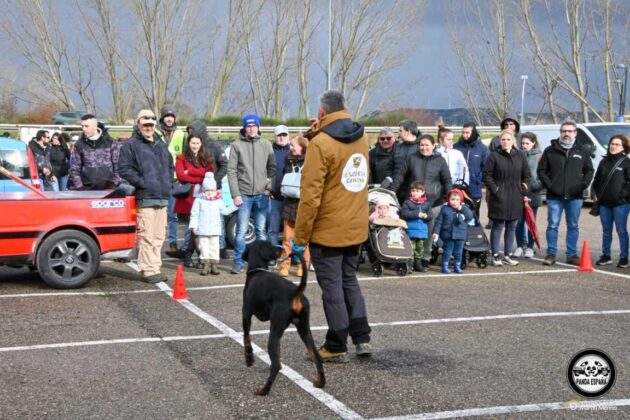 III Villamuriel Panda Espa&ntilde;a