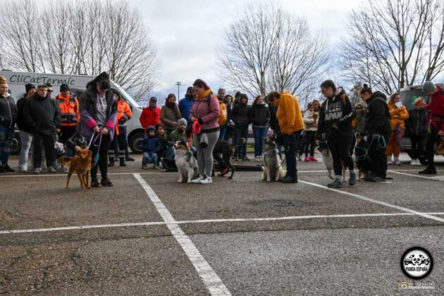 III Villamuriel Panda Espa&ntilde;a