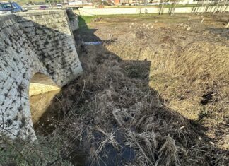 El Ayuntamiento de Villamuriel exige a la Confederación Hidrográfica del Duero la limpieza del cauce del Río Carrión a su paso por la localidad Imagen proporcionada por el Ayuntamiento de Villamuriel de Cerrato