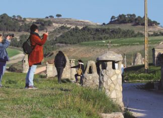 La Diputación destina 6.500 euros para promocionar el enoturismo en el Cerrato campaña enoturismo Cerrato diputación