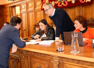 Un momento del pleno de este jueves 16 de enero en Palencia