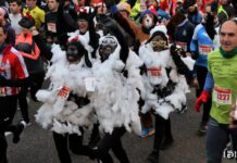 (Galería) ¿Participaste en la San Silvestre Palentina? Aquí puedes encontrarte San Silvestre palentina