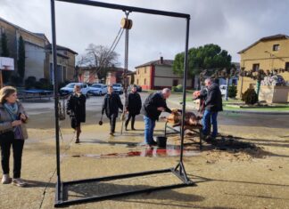 Festín de sabores y emociones en la III Jornada de la Matanza de Marcilla de Campos marcilla matanza