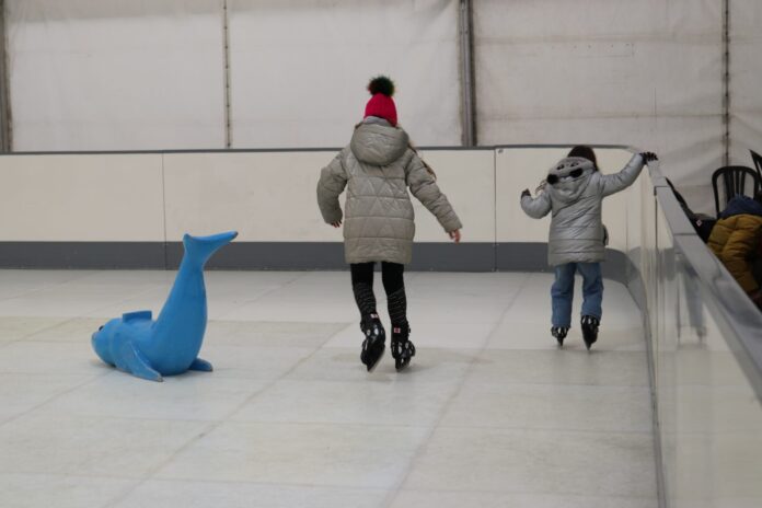 pista patinaje sintético (2) pista patinaje sintético