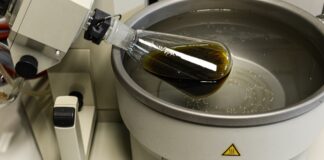 Investigación de la Junta desvela las propiedades del lúpulo en las resinas