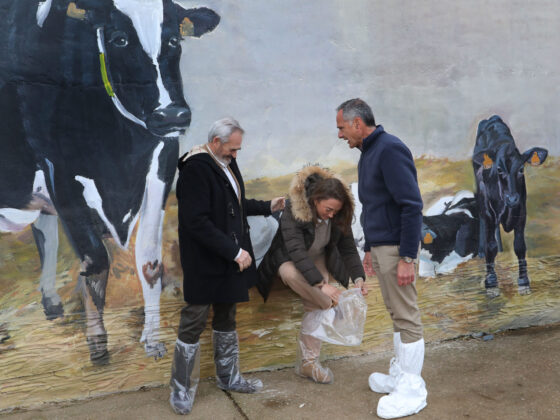 La consejera de Agricultura visita una granja de vacuno de leche en Dehesa de Romanos (Palencia)