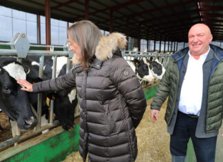 La consejera de Agricultura visita una granja de vacuno de leche en Dehesa de Romanos (Palencia)