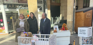 Acogimiento-Familiar-en-Palencia