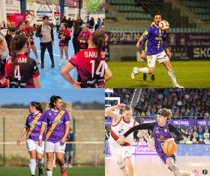 Bm Fuentes Carrionas, Palencia Cristo Atlético (Óscar Martínez), Palencia Fútbol Femenino y Súper Agropal Palencia (Rubén Díaz)