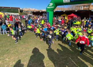 Más de 500 escolares participarán en el Campeonato Provincial Escolar de Campo a Través en Villamuriel de Cerrato Campeonato Provincial Escolar de Campo a Través