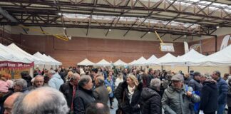 Feria de Las Candelas de Saldaña. / Aida Acitores