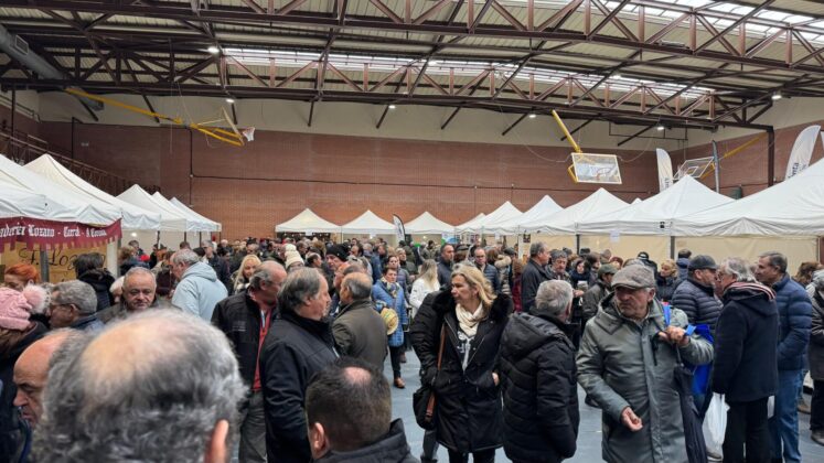Feria de Las Candelas de Salda&ntilde;a. / Aida Acitores