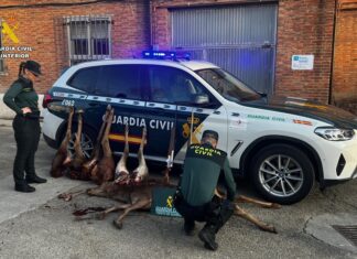 Sorprendidos cuatro cazadores furtivos en un coto de ‘La Peña’ palentina