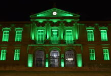 Monumentos iluminados por el Día de las Enfermedades Raras (1)