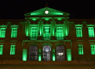Monumentos iluminados por el Día de las Enfermedades Raras (1)