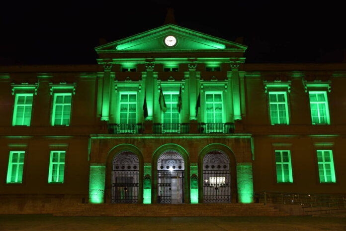 Monumentos iluminados por el Día de las Enfermedades Raras (1)