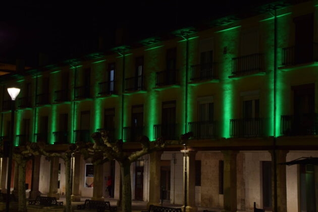 Monumentos iluminados por el D&iacute;a de las Enfermedades Raras (1)