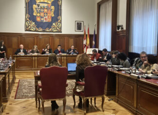 Pleno-27-de-febrero-de-2025