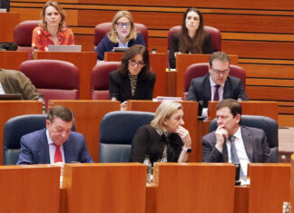 Pleno de las Cortes de Castilla y León