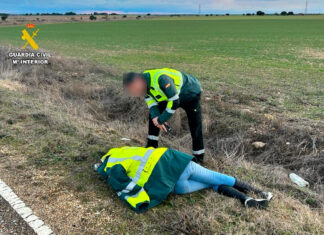 La mujer agredida por su pareja y abandonada en el arcén en Tariego de Cerrato estaba inconsciente cuando fue encontrada Sucesos en Palencia Violencia de Género