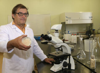 El regreso de un temido insecto que ha adelantado su llegada