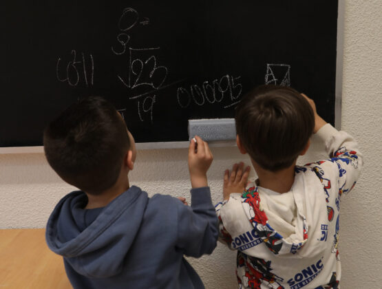 Asociaci&oacute;n palentina para el apoyo a las altas capacidades (APAC)