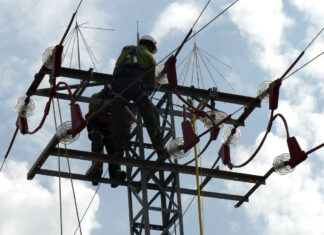 Vox Aguilar culpa de los cortes de electricidad a los protectores de avifauna y pide medidas para no lamentar “pérdidas humanas”