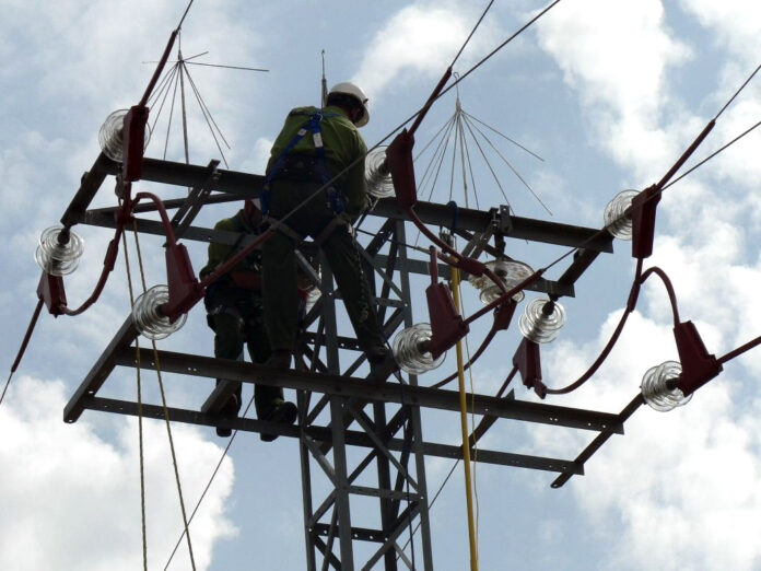 Adecuación de apoyos eléctricos en España para proteger la avifauna