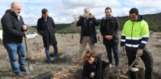 Bosque Paradores - Dueñas