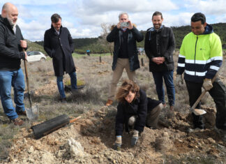 Dueñas da un paso más como sumidero de carbono gracias a ‘Bosque Paradores’, con 4.700 árboles Bosque Paradores - Dueñas