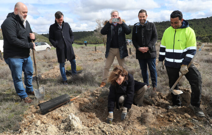 Bosque-Paradores---Dueñas Bosque Paradores - Dueñas