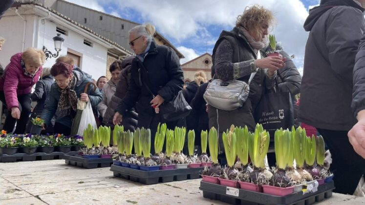 D&iacute;a de la mujer en Salda&ntilde;a