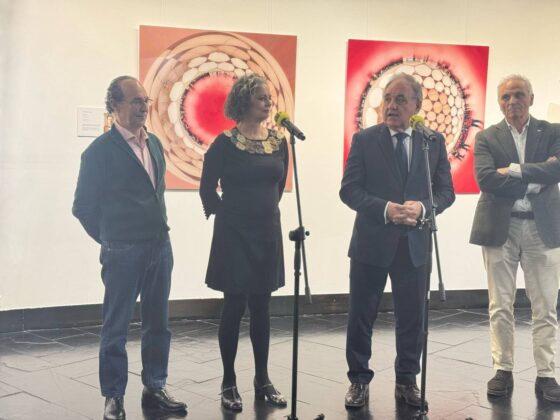 Exposici&oacute;n 'Tempus Fugit' en el Museo de Palencia, a cargo de Artistas Independientes AI+. | A. Acitores