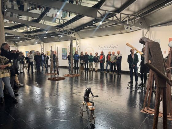 Exposici&oacute;n 'Tempus Fugit' en el Museo de Palencia, a cargo de Artistas Independientes AI+. | A. Acitores