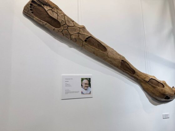 Exposici&oacute;n 'Tempus Fugit' en el Museo de Palencia, a cargo de Artistas Independientes AI+. | A. Acitores