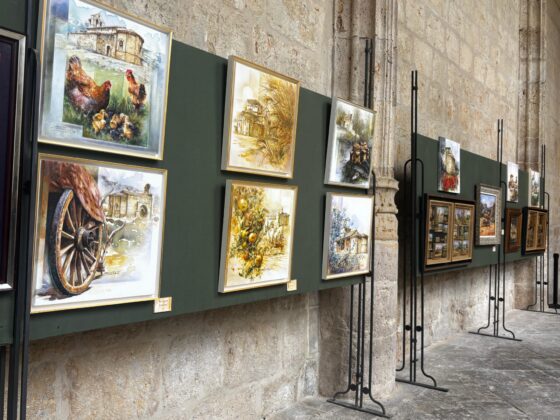 El Claustro de la Catedral acoge la exposici&oacute;n de Dami&aacute;n Simal, organizada por la Asociaci&oacute;n Thield&oacute;n
