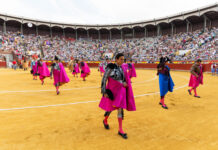 Plaza de Toros de Palencia
