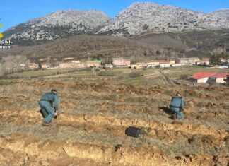 Investigadas dos personas por los daños causados en el yacimiento romano de Santibáñez de la Peña