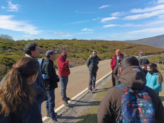 Estudiantes de Ingenier&iacute;a Forestal de la UVA aprenden con Reactiva Bra&ntilde;osera