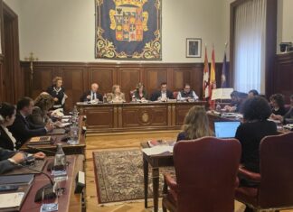 Pleno de marzo de la Diputación de Palencia
